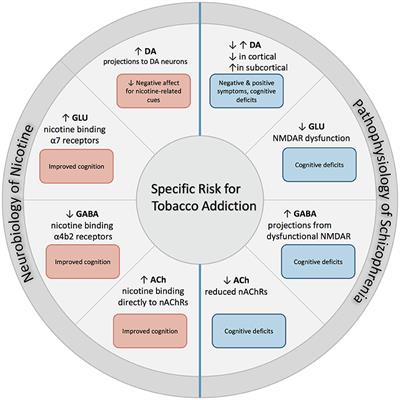 Neurobiological Determinants of Tobacco Smoking in Schizophrenia